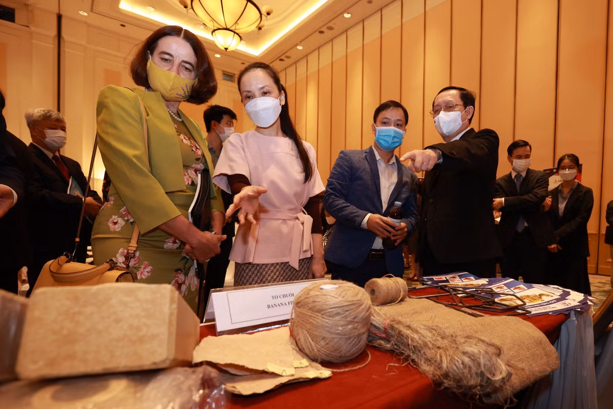 8X nghi cach kiem bon tien tu than cay chuoi-Hinh-5