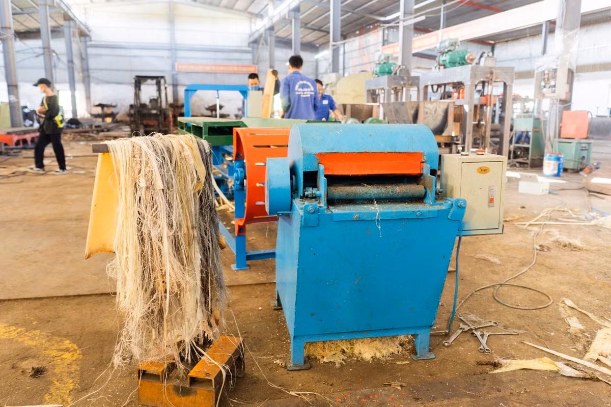 8X nghi cach kiem bon tien tu than cay chuoi-Hinh-4