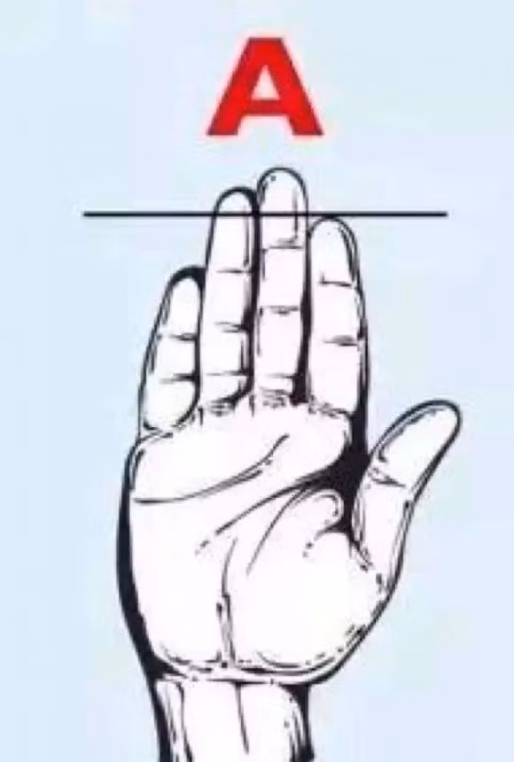 Chieu dai cua ngon tay xac dinh tinh cach cua ban!-Hinh-2