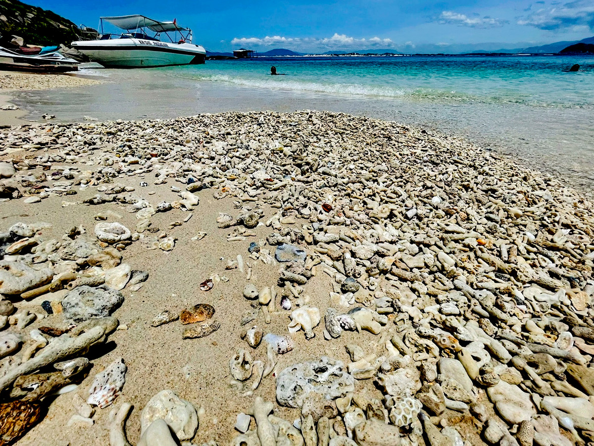 Xac san ho phu day ven bien Phu Yen-Hinh-5