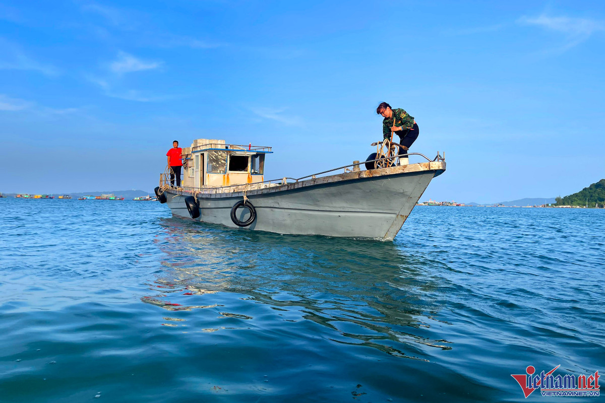 Mùa cá cơm trên đảo Thanh Lân, mỗi ngày thu hàng chục triệu đồng Mua ca com tren dao Thanh Lan, moi ngay thu hang chuc trieu dong