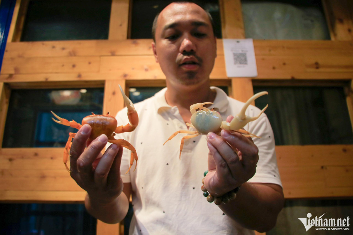 Kích thước và chi phí của cua kiểng được đo theo chiều ngang của mai, từ 3-7cm mức, giá từ 80.000-350.000 đồng/con. Ngoài bán ở thị trường Việt Nam anh Lộc còn xuất khẩu sang các nước như Trung Quốc, Đài Loan, Thái Lan. Mục tiêu sắp tới của anh là xuất khẩu cua kiểng tới châu Âu, Mỹ.