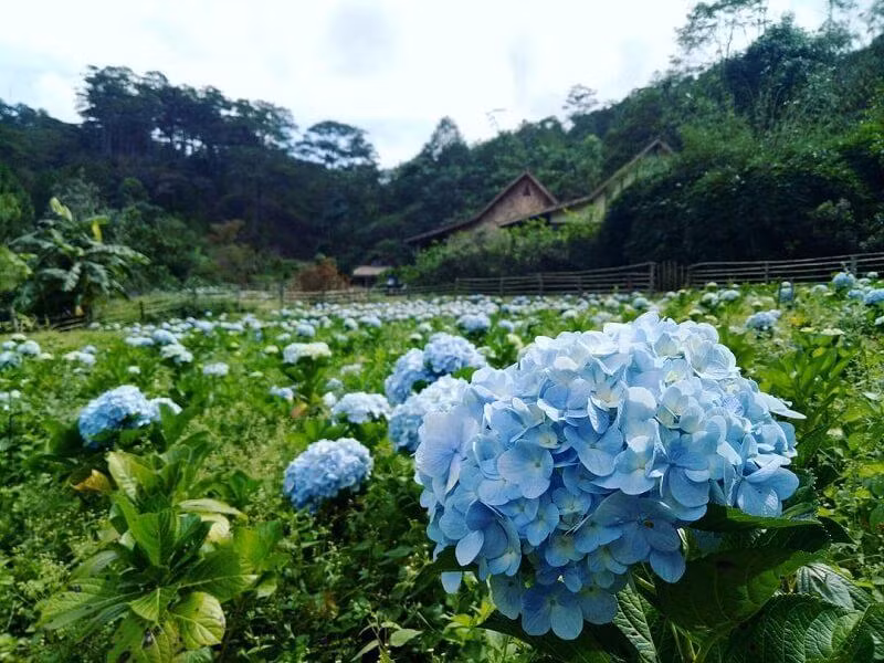 Nguoi sinh gio nay tinh cach trung thuc, sau tuoi 35 giau co-Hinh-3