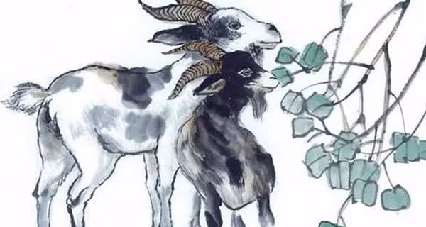 Huong tron Tam Hi, cuoi tuan nay 3 tuoi cu mo cua at co loc