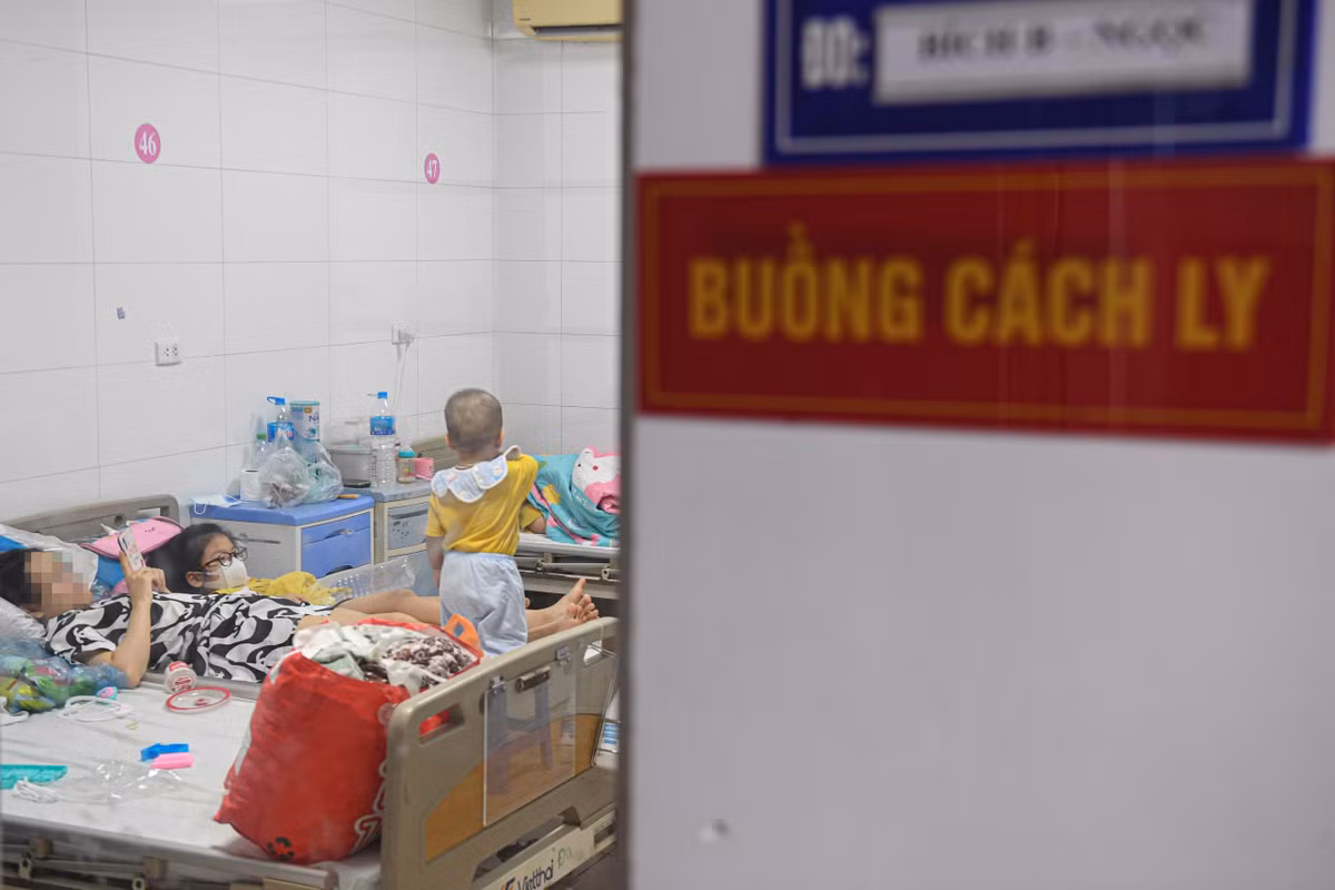 Dich sot xuat huyet tai mien Bac se khong lan rong nhu mien Nam