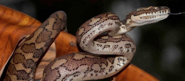 Cau be 5 tuoi thoat chet sau khi bi tran keo xuong be boi