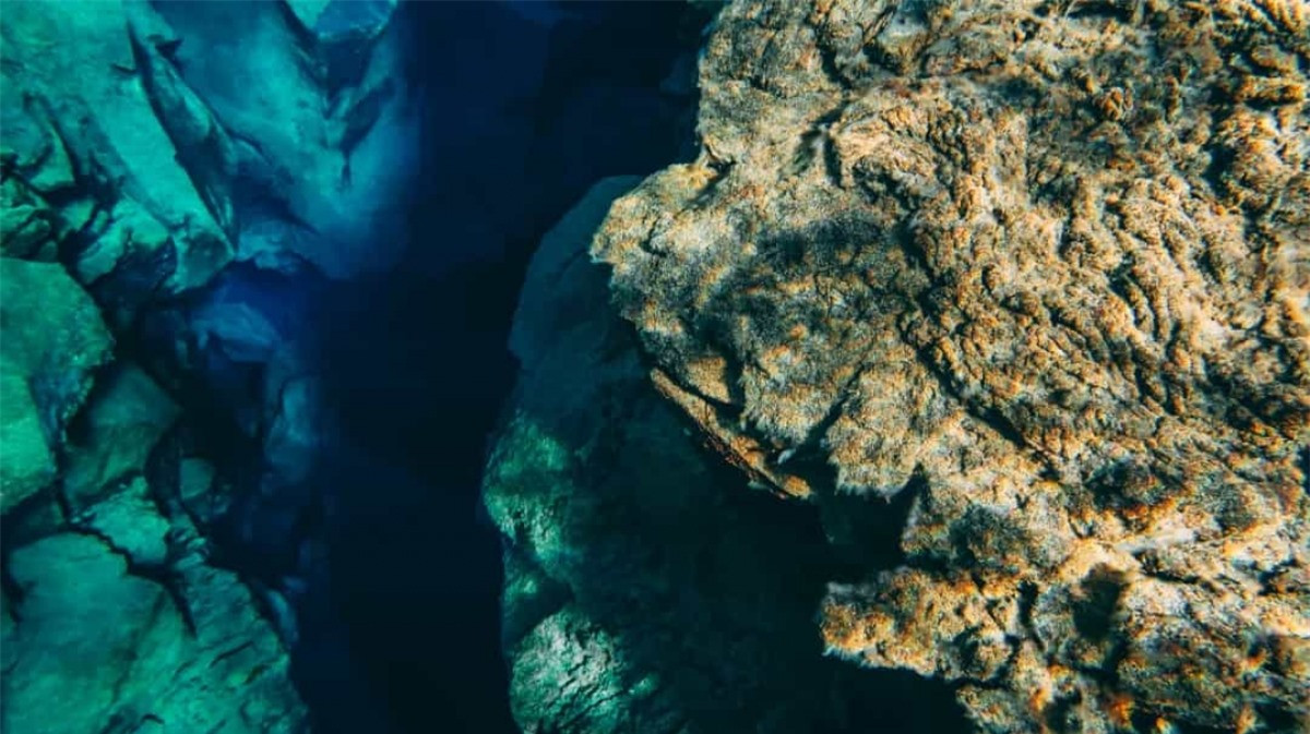 Rặng núi dài nhất thế giới nằm ở dưới biển: Rặng núi dài nhất hành tinh Mid-Ocean Ridge gần như hoàn toàn nằm ở dưới biển, trải dài 65.000 km, dài gấp 10 lần dãy Andes.