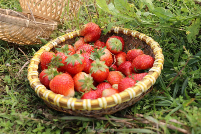 “Sắp tới mình đang ấp ủ làm một nhà máy sản xuất gia vị từ chính những nông sản mà nông trại làm ra. Bây giờ cũng đã bắt đầu làm các bước và hy vọng sẽ thành công”, chị Hằng cho biết. Nguồn: https://tienphong.vn/nu-ky-su-9x-bien-manh-dat-hoang-thanh-nong-trai-xanh-post1435615.tpoNguồn: https://tienphong.vn/nu-ky-su-9x-bien-manh-dat-hoang-thanh-nong-trai-xanh-post1435615.tpo