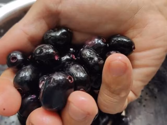 200.000 đồng/kg trâm rừng, muốn mua không dễ Trâm rừng là món ăn ký ức của nhiều người nên dù giá bán không hề rẻ, nhiều người cũng cố lùng mua để thưởng thức. Bấm xem >> Chia sẻ Theo Hoài Nam - Thanh Quý (Tiền Phong)