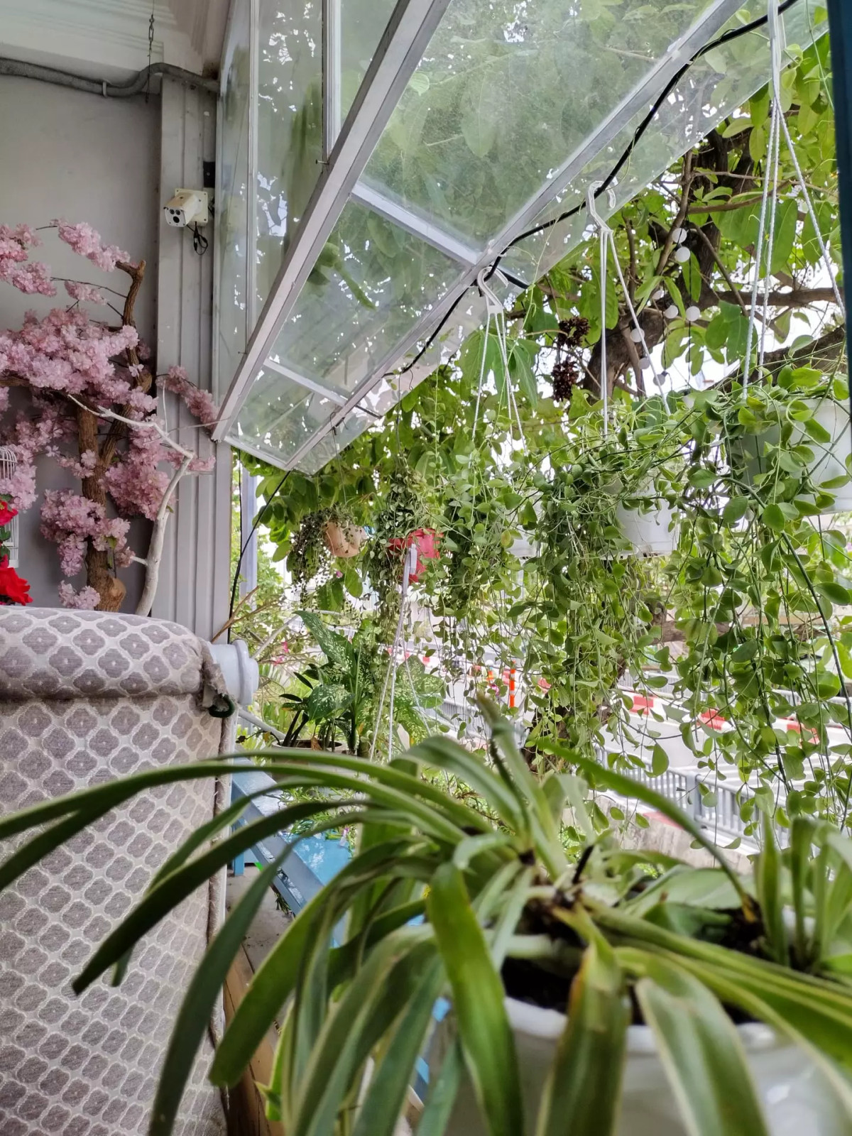 Chàng trai cải tạo phòng theo phong cách làng chài ven biển châu Âu ảnh 12