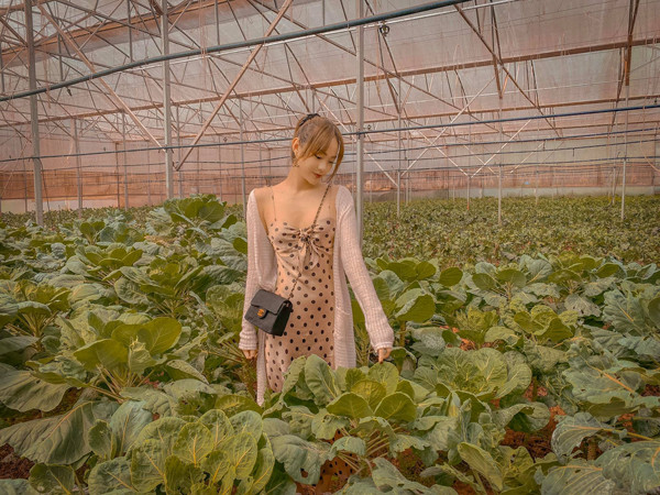 Minh Hang sau nua nam lay chong doanh nhan bi an-Hinh-10