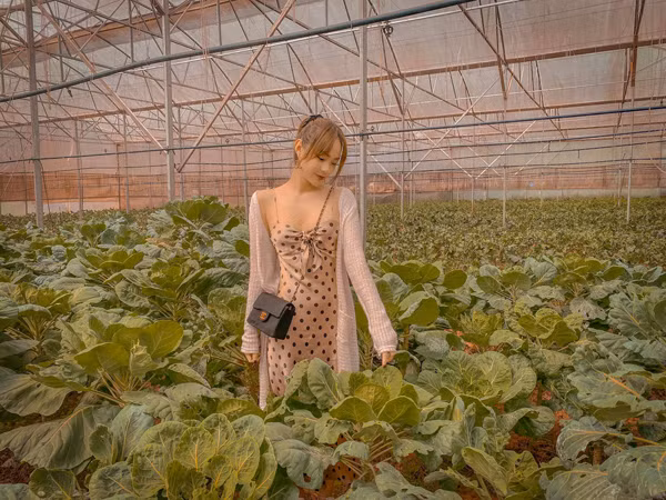 Minh Hang sau nua nam lay chong doanh nhan bi an-Hinh-10