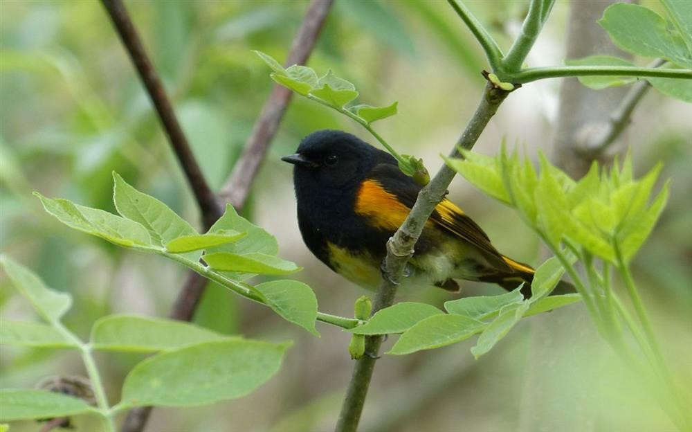 Sinh ngày Âm lịch này, cuối năm 2022 đón may mắn, nhận tin vui - Hình 3 Sinh ngay Am lich nay, cuoi nam 2022 don may man, nhan tin vui-Hinh-3