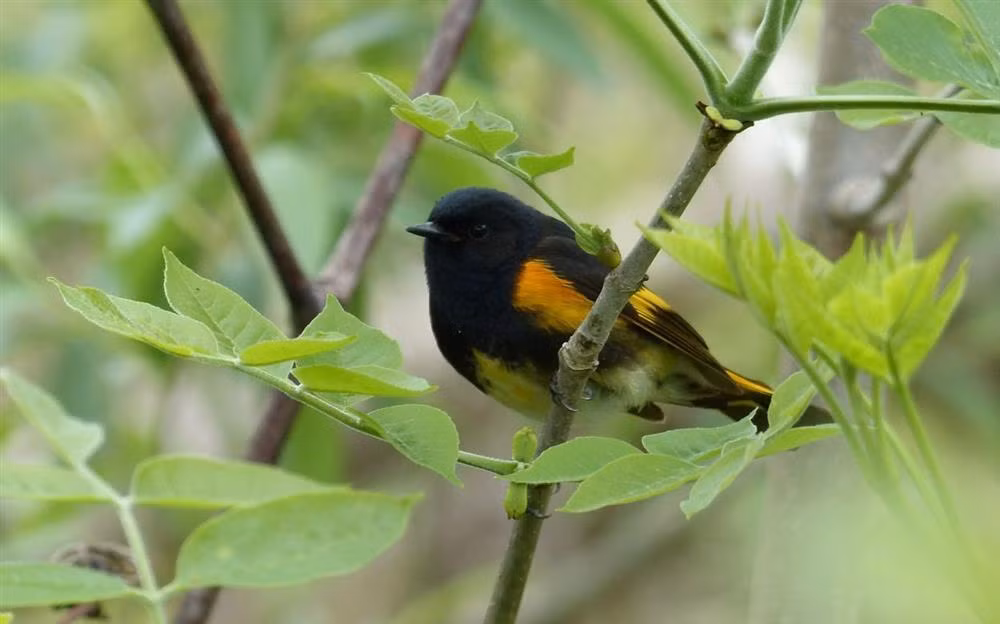 Sinh ngay Am lich nay, cuoi nam 2022 don may man, nhan tin vui-Hinh-3