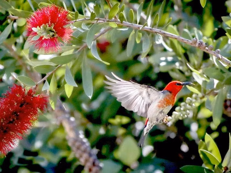 Sinh ngay Am lich nay, cuoi nam 2022 don may man, nhan tin vui-Hinh-4