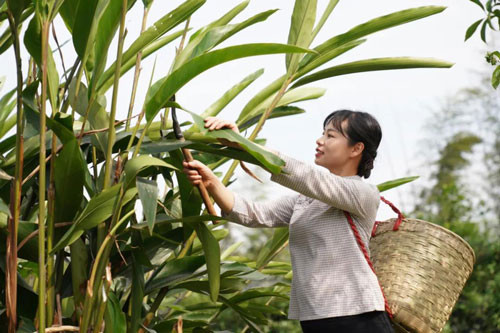 Lay thu cho khong ai muon lay dem ban, vo chong bong doi doi-Hinh-3