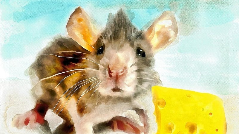 4 tuoi 2023 don loc, 2024 phat tai, 2025 vuong gia phu quy