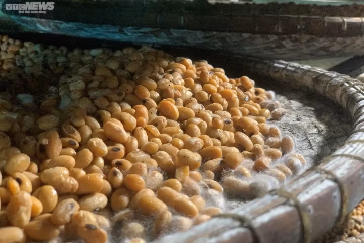 Cong thuc lam tuong den dac san pho nui-Hinh-5