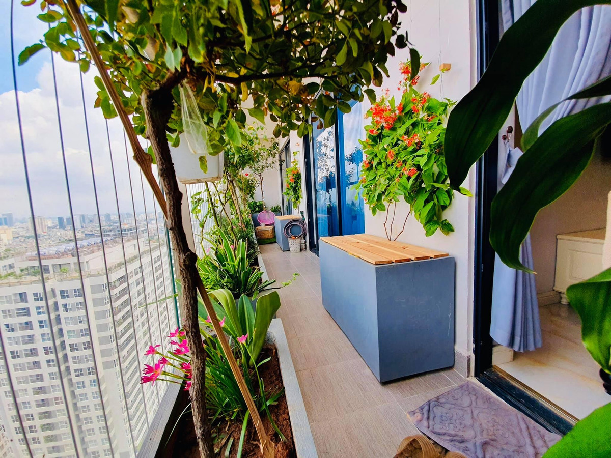 Cả hai vợ chồng mê cây nên trong nhà và ban công trồng rất nhiều cây xanh.