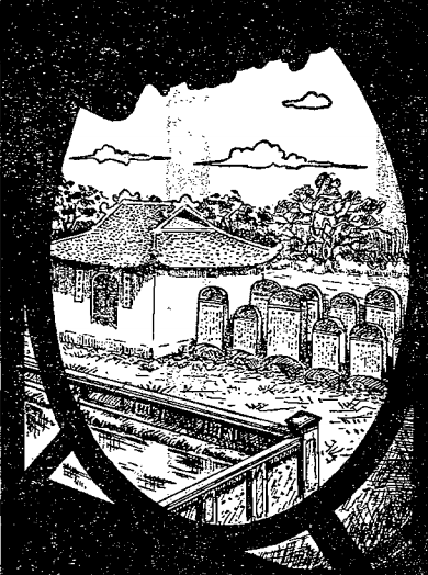 Vi tien si Dai Viet bi don vi cham rot bai thi... cua cha-Hinh-3