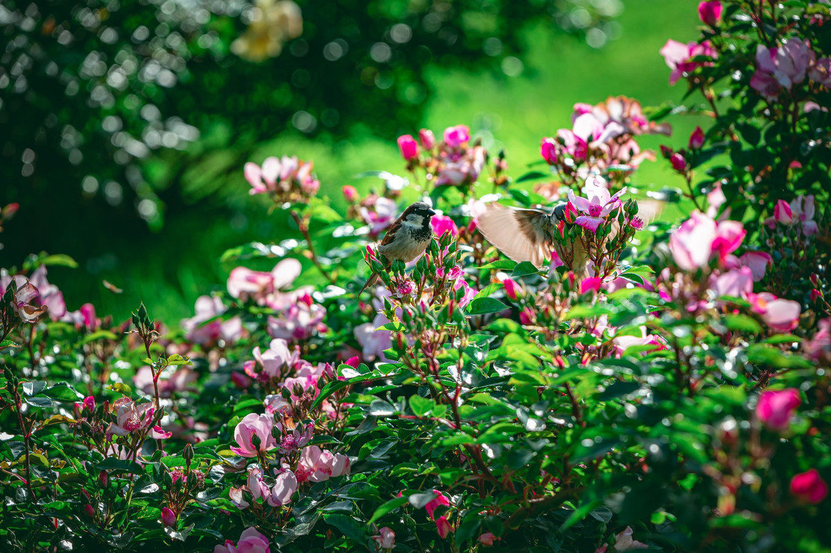 Ai sinh ngay Am lich nay chi dua chinh minh lam giau