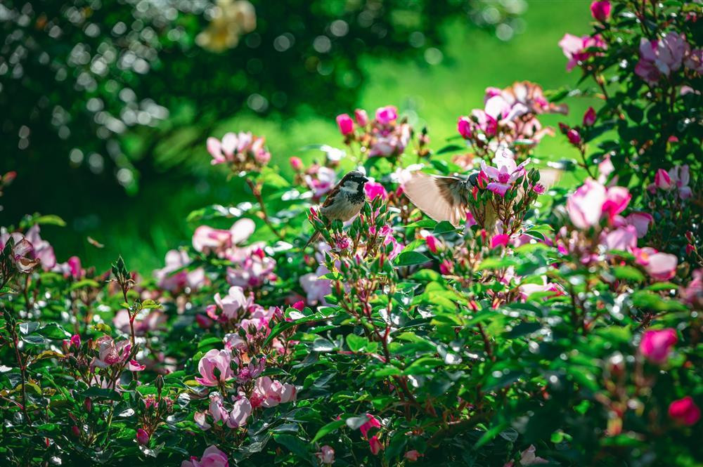 Ai sinh ngay Am lich nay chi dua chinh minh, hanh phuc ben lau