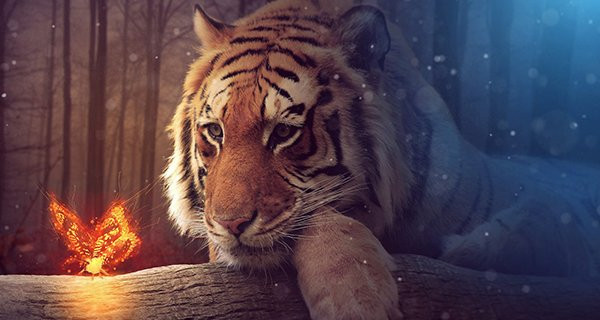 4 tuổi xấu nhất Nhầm Dần 2022 do phạm Thái Tuế, làm gì cũng bại 4 tuoi xau nhat Nham Dan 2022 do pham Thai Tue, lam gi cung bai