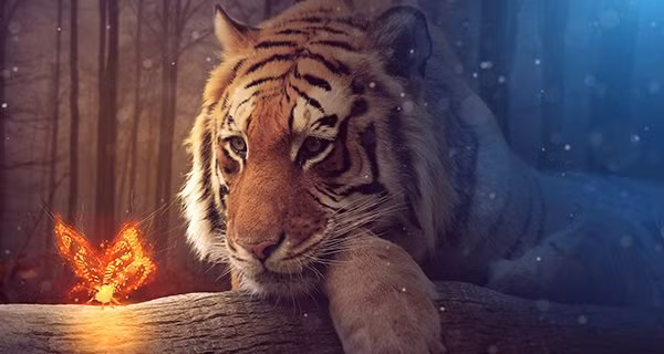 4 tuổi xấu nhất Nhầm Dần 2022 do phạm Thái Tuế, làm gì cũng bại 4 tuoi xau nhat Nham Dan 2022 do pham Thai Tue, lam gi cung bai