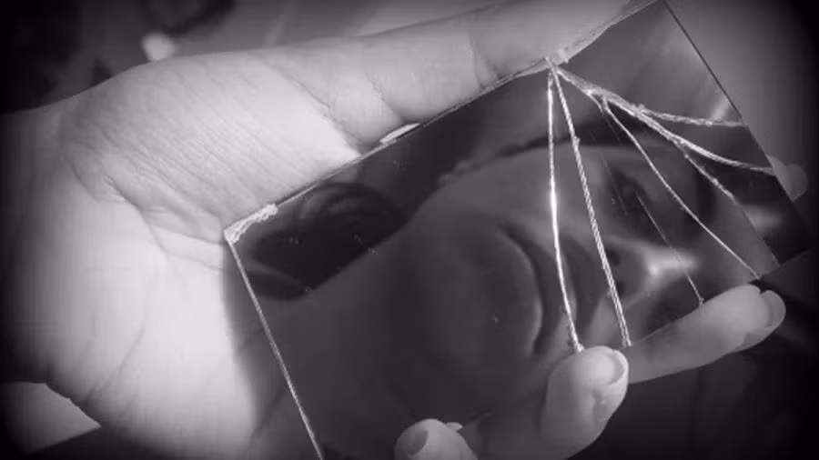 Giu khu khu 5 mon do trong nha, gia chu lan dan-Hinh-5