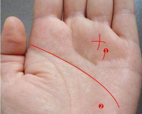 3 đường chỉ tay phú quý, phụ nữ có 1/3 là đủ nắm tiền tỷ - Hình 2 3 duong chi tay phu quy, phu nu co 1/3 la du nam tien ty-Hinh-2