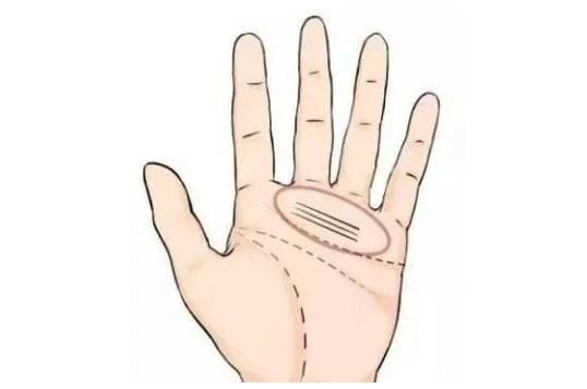 3 đường chỉ tay phú quý, phụ nữ có 1/3 là đủ nắm tiền tỷ - Hình 3 3 duong chi tay phu quy, phu nu co 1/3 la du nam tien ty-Hinh-3