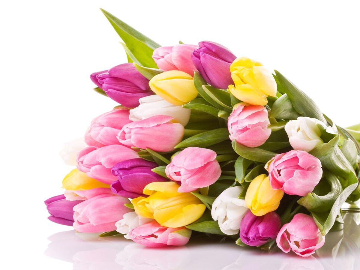 4 ngày sinh Âm lịch này, sức khỏe dồi dào, phú quý bền lâu 4 ngay sinh Am lich nay, suc khoe doi dao, phu quy ben lau