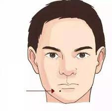 Người này có thể không giỏi xuất chúng nhưng biết chăm chỉ làm ăn, trau dồi kiến thức, làm việc chân chính. Họ luôn được người khác tin tưởng, thừa nhận năng lực.