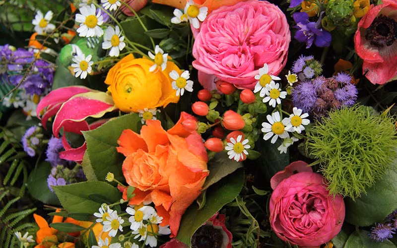 Sinh vào 4 ngày Âm lịch này, gian khổ mấy rồi cũng sẽ thành công - Hình 3 Sinh vao 4 ngay Am lich nay, gian kho may roi cung se thanh cong-Hinh-3