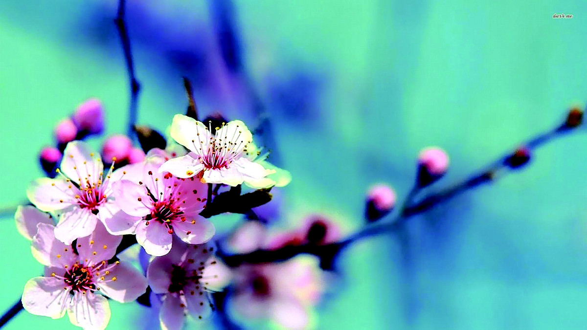 Những thành tích mà người sinh tháng Âm lịch này đạt được khiến nhiều bạn bè, đồng nghiệp ngưỡng mộ. Bên cạnh đó, người sinh tháng 4 Âm lịch rất kiên định, vững vàng. Họ đã chọn con đường nào thì không dễ dàng thay đổi hướng đi. Tính tình nghiêm túc khiến họ làm việc gì cũng thận trọng và dành được kết quả tốt.