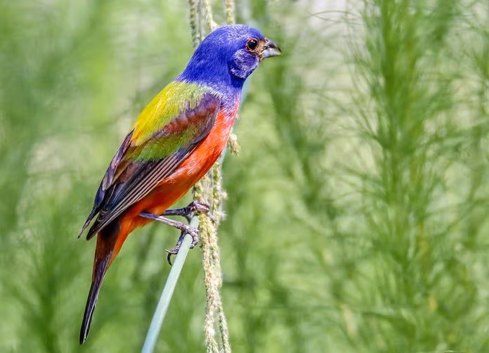 Ai sinh ngay Am lich nay lien tuc don may man, nhan tin vui