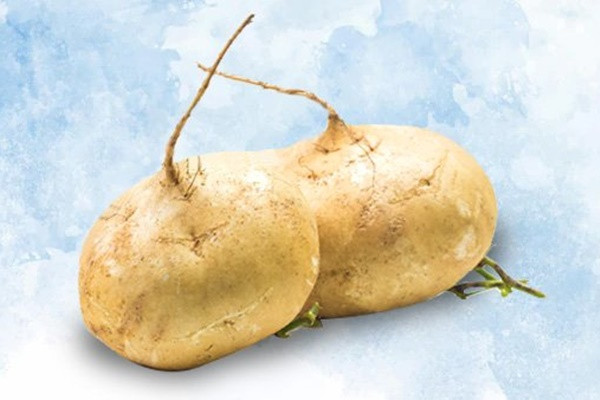 Loai cu gia cuc re, ban day cho lai tot cho suc khoe