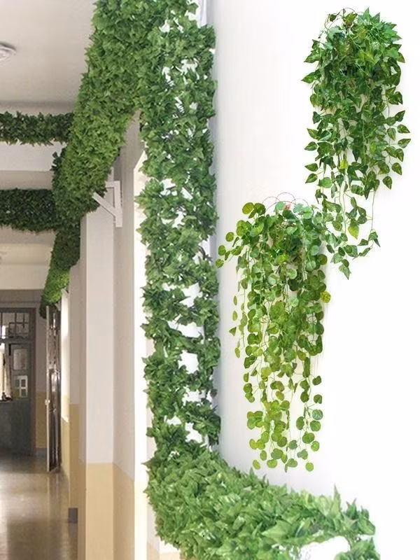 3 nguyen tac trong cay phong thuy tang van dao hoa thinh vuong-Hinh-2