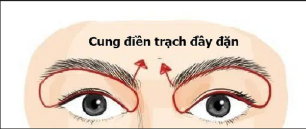 So huu 4 net tuong nay, ca doi duoc quy nhan phu tro