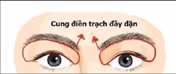 Sở hữu 4 nét tướng này, cả đời được quý nhân phù trợ So huu 4 net tuong nay, ca doi duoc quy nhan phu tro