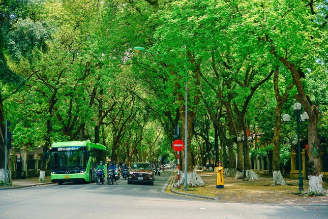 Bo anh trong veo vuong mau nang Ha Noi cua co gai 9x-Hinh-5