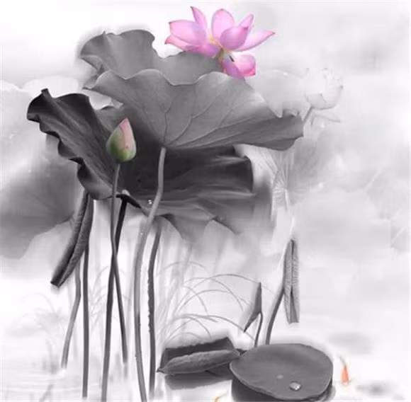 Nam mo thay dieu nay co nghia la nghiep chuong da duoc tieu tru!-Hinh-3