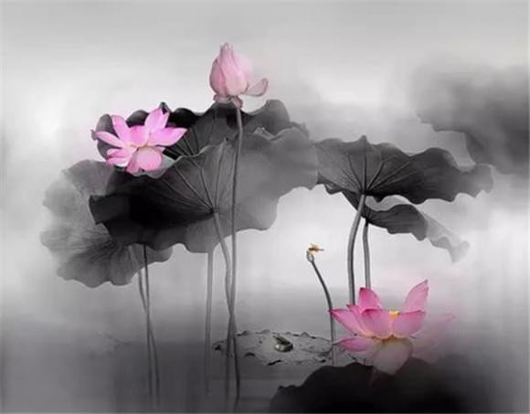 Nam mo thay dieu nay co nghia la nghiep chuong da duoc tieu tru!-Hinh-2