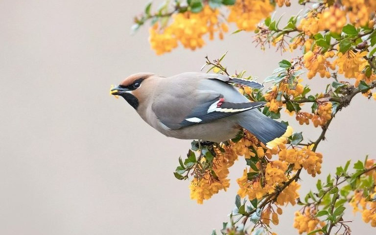 Ngày sinh Âm lịch kết thúc bằng 3 số này, gặp dữ hóa lành - Hình 2 Ngay sinh Am lich ket thuc bang 3 so nay, gap du hoa lanh-Hinh-2