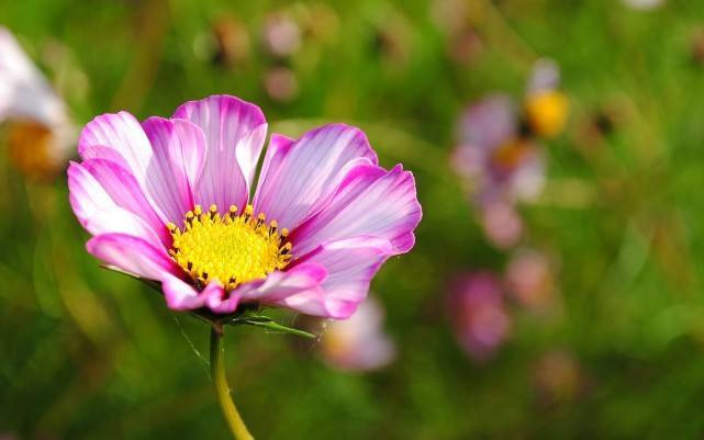 Ngày sinh Âm lịch kết thúc bằng 3 số này, gặp dữ hóa lành - Hình 5 Ngay sinh Am lich ket thuc bang 3 so nay, gap du hoa lanh-Hinh-5