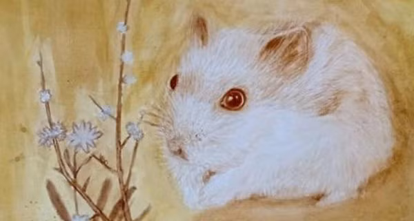 Tuổi Tý. Tử vi số dự báo tuổi Tý sẽ gặp Tam Tai vào năm Quý Mão 2023. Theo ý niệm tuổi Tý mà gặp năm Mão thì bị hạn tam tai! Năm 2023 bạn bị hạn tam tai lần thứ 2. Vào năm Mão phùng Thiên Hình Tinh Quân tắc bị pháp luật hình phạt hoặc cập đao thiết nhi xuất hành dã, bị giải phẫu.