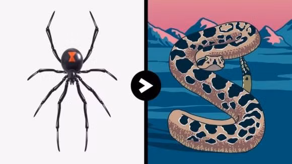 5 loai dong vat chet nguoi tren trai dat-Hinh-6