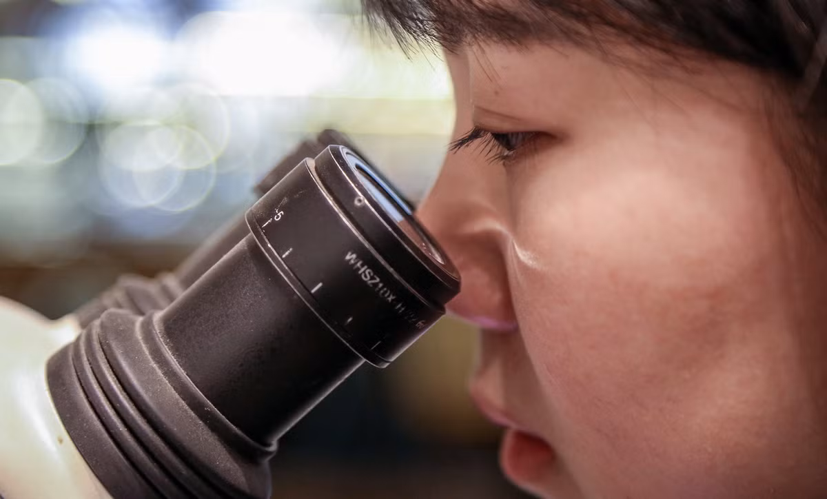 Việc tiếp xúc với kính hiển vi đã gây ra tình trạng đau mỏi mắt. “Khi làm nghề này, phải chấp nhận khó khăn và có phương pháp chăm sóc mắt thật tốt”, Huyền Thu nói.