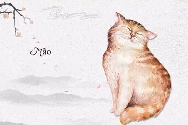 Tuổi Mão. Trung Quốc và Nhật Bản rất coi trọng con giáp này, họ thường để các biểu tượng mèo trong nhà để mong gặp được may mắn, tài lộc. Bản thân những người tuổi Mão thường gặp nhiều may mắn trong cuộc sống. 