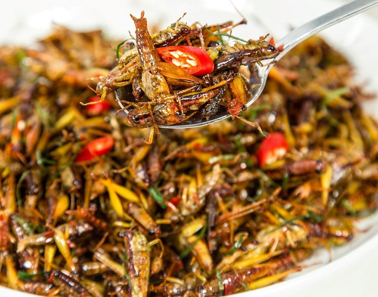 Bất ngờ loại côn trùng nhiều người xua đuổi lại có giá nửa triệu/kg - Hình 5 Bat ngo loai con trung nhieu nguoi xua duoi lai co gia nua trieu/kg-Hinh-5